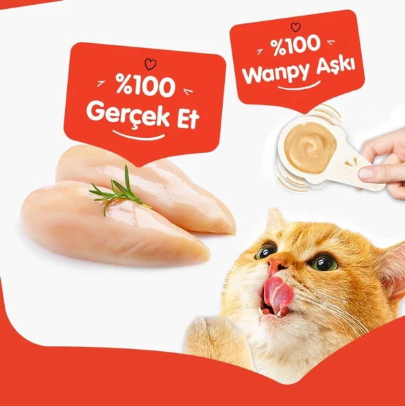 Wanpy Tavuklu Kaşık Krema Kedi Ödül Maması 10x16gr - Resim 2
