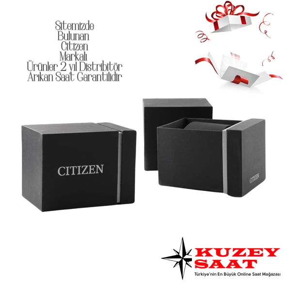 Citizen Eco-Drive AW1760-81W Erkek Kol Saati - Resim 4