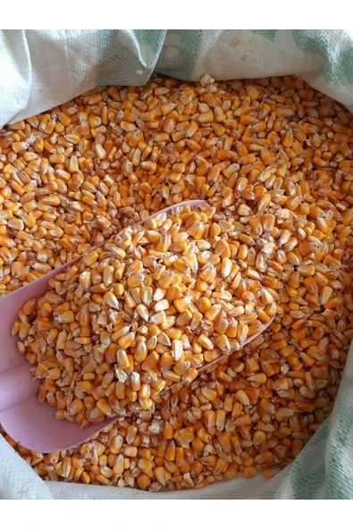 Tüm Mısır Tavuk Kaz Ördek Kuş Kanatlı Yemi (5 KG) ürün görseli