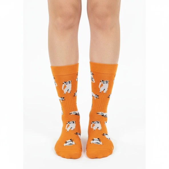 Silver Cat Socks – Desenli Unisex Soket Çorap - Resim 4