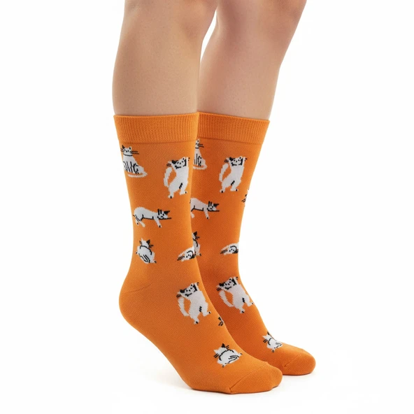 Silver Cat Socks – Desenli Unisex Soket Çorap - Resim 3