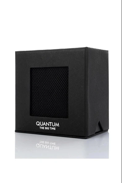 Quantum PWG1108.300 Erkek Kol Saati - Resim 4
