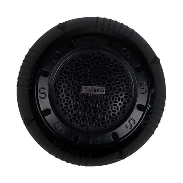 Westa WS-1119TB 13cm Sıva Üstü Siyah Trafolu Tavan Hoparlörü 10 Watt ürün görseli