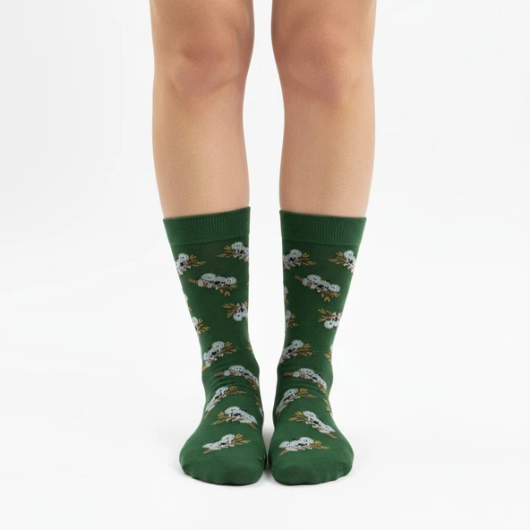 Koala Socks – Desenli Unisex Soket Çorap - Resim 3