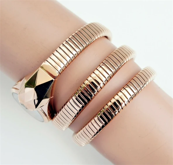 Just Cavalli JC1L114M0055 Kadın Kol Saati - Resim 5