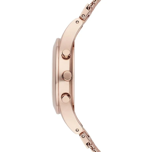 Emporio Armani AR7391 Bayan Kol Saati - Resim 2