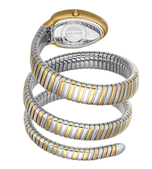 Just Cavalli JC1L228M0075 Kadın Kol Saati - Resim 3