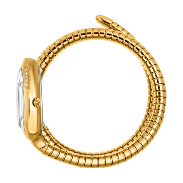 Just Cavalli JC1L224M0035 Kadın Kol Saati - Resim 3