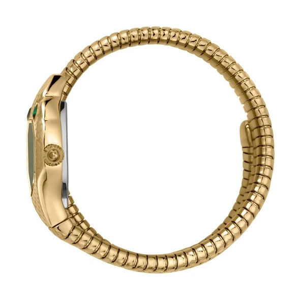Just Cavalli JC1L168M0045 Kadın Kol Saati - Resim 2