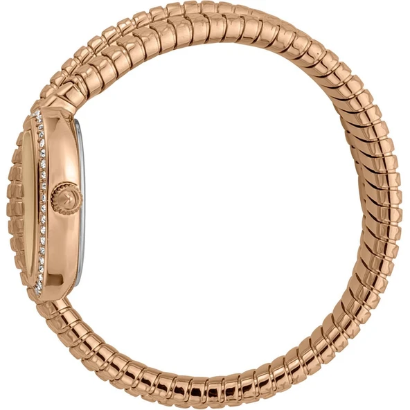 Just Cavalli JC1L163M0035 Kadın Kol Saati - Resim 2