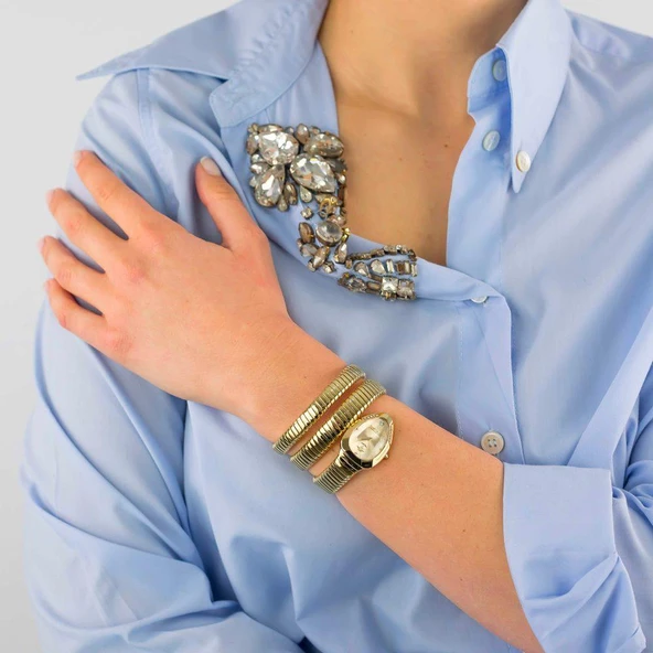 Just Cavalli JC1L209M0035 Kadın Kol Saati - Resim 4