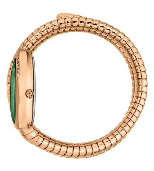 Just Cavalli JC1L230M0055 Kadın Kol Saati - Resim 4