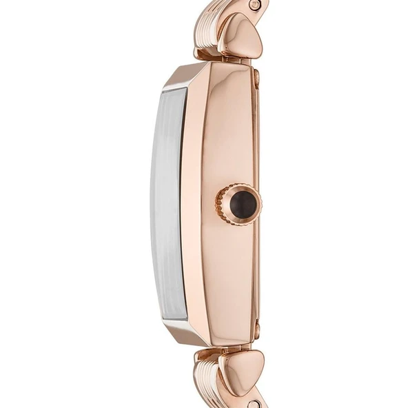 Emporio Armani AR11407 Kadın Kol Saati - Resim 2
