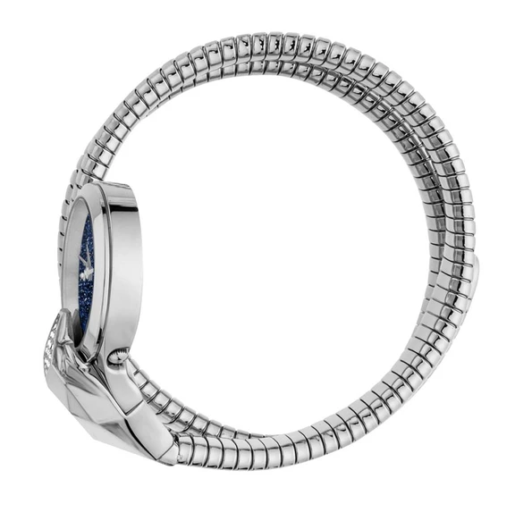 Just Cavalli JC1L114M0025 Kadın Kol Saati - Resim 3