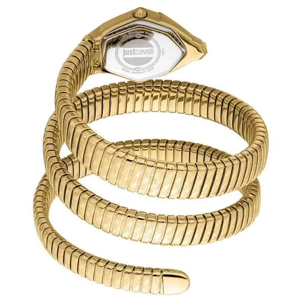 Just Cavalli JC1L304M0025 Kadın Kol Saati - Resim 4