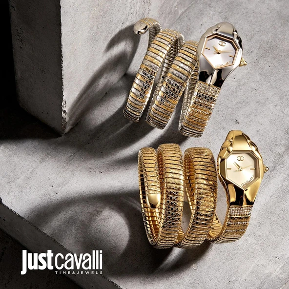 Just Cavalli JC1L112M0025 Kadın Kol Saati - Resim 4