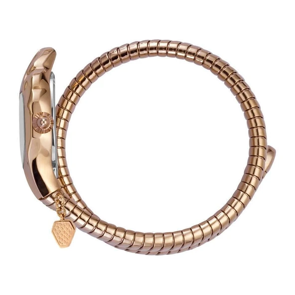 Just Cavalli JC1L001M0155 Kadın Kol Saati - Resim 3
