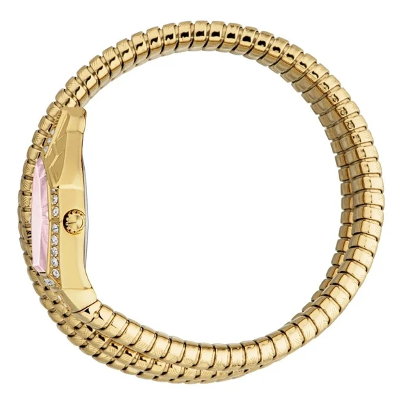 Just Cavalli JC1L304M0035 Kadın Kol Saati - Resim 3