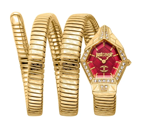 Just Cavalli JC1L304M0035 Kadın Kol Saati ürün görseli
