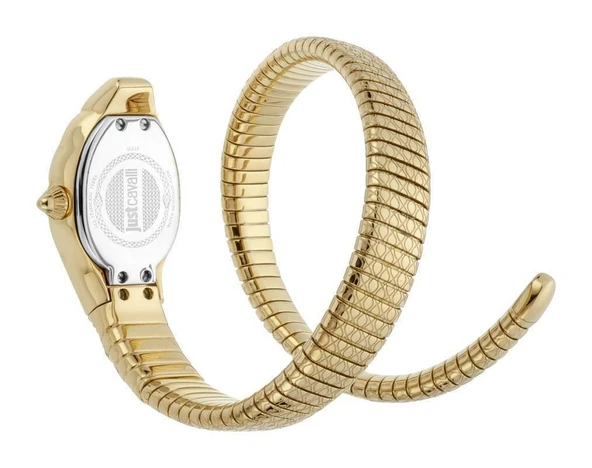 Just Cavalli JC1L113M0025 Kadın Kol Saati - Resim 4