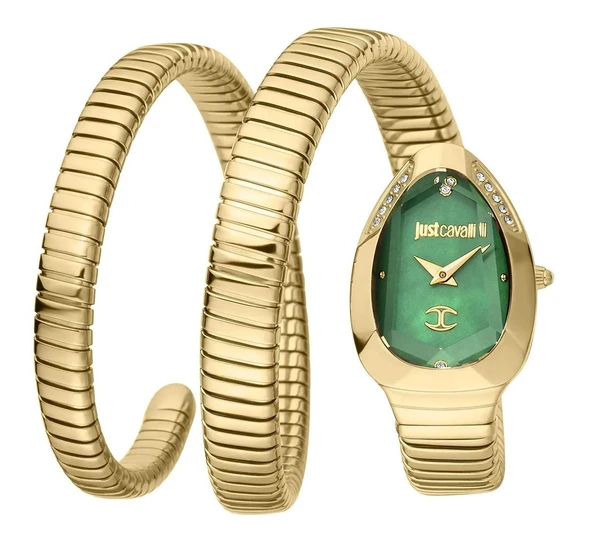 Just Cavalli JC1L209M0045 Kadın Kol Saati ürün görseli