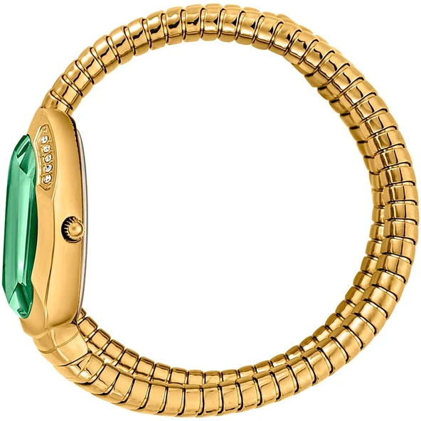 Just Cavalli JC1L209M0045 Kadın Kol Saati - Resim 2