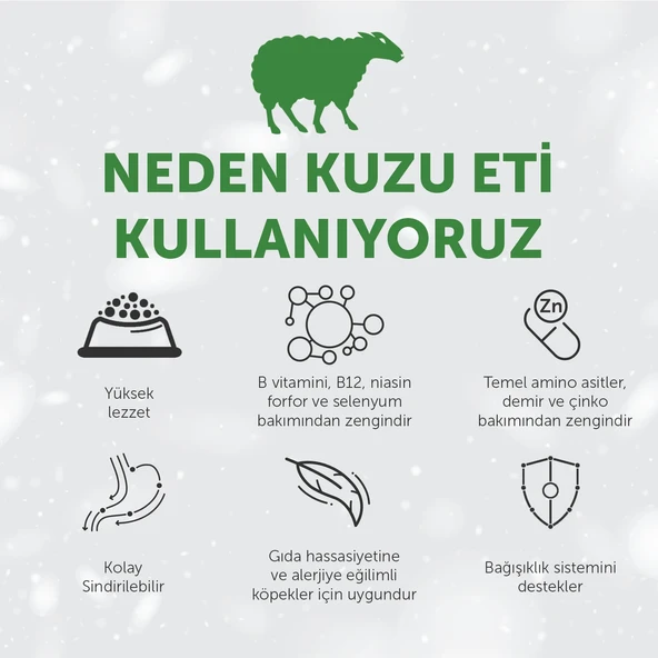 Nature's Protection Superior Care Beyaz Tüylü Köpekler için Kuzulu Küçük Irk Köpek Maması 1,5kg - Resim 6