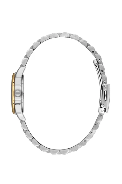 DANIEL KLEIN DK.1.13914-4 Kadın Kol Saati - Resim 2