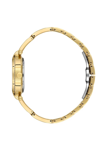 DANIEL KLEIN DK.3.10070-2 Kadın Kol Saati - Resim 2