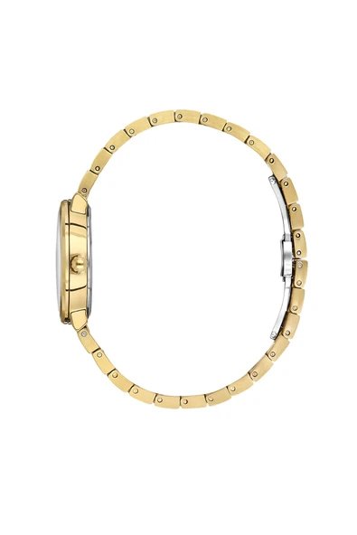 DANIEL KLEIN DK.1.14110-2 Kadın Kol Saati - Resim 2