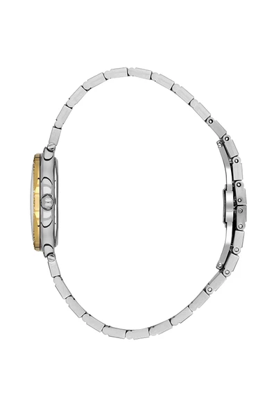 DANIEL KLEIN DK.1.14101-3 Kadın Kol Saati - Resim 2