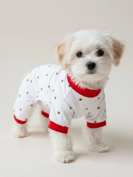 Berry Köpek Tulumu | Pamuklu Penye Köpek Pijaması | Küçük Irklar İçin | Tüy Dökülmesini Azaltır ürün görseli