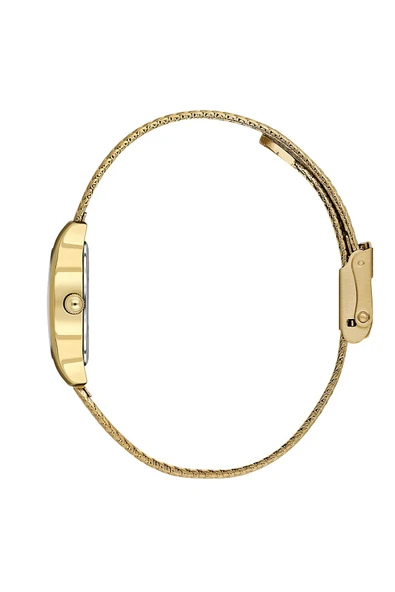 DANIEL KLEIN DKE.1.10972-2 Kadın Kol Saati - Resim 2