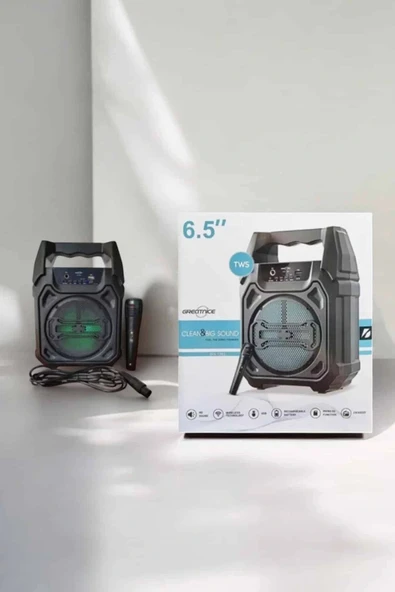 Güçlü ve Şarj Edilebilir Bluetooth Hoparlör 6.5 İnç - Resim 4