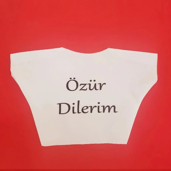 Özür Dilerim Yazılı Peluş Oyuncak Ayı Tişörtü - Resim 2
