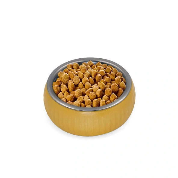 Mikopet Organik Seramik Mama Kabı Sarı - Resim 5