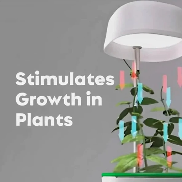 Hızlı Bitki Yetiştirme Saksısı - Resim 5