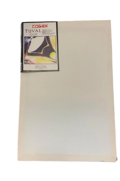 Collex Tuval 35x50 cm - Resim 2