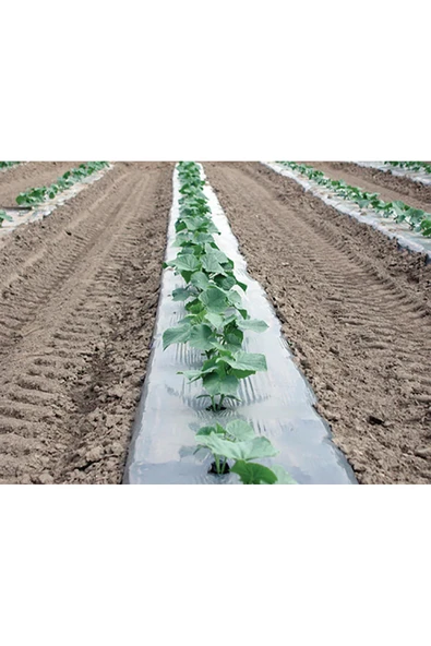 Ark Mulch Örtüsü ve Çok Amaçlı Koruyucu Örtü 55cm x 5m - Resim 2