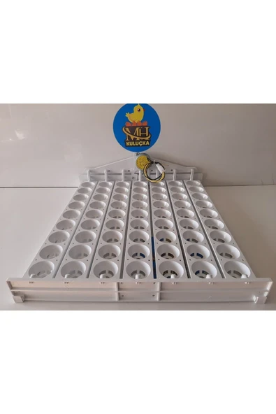63'lük Otomatik Kuluçka Viyolü - Resim 3