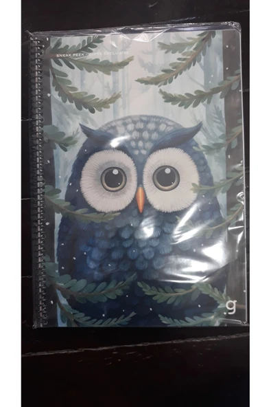 Gıpta GIPTA EXCLUSIVE DEFTER - Resim 2