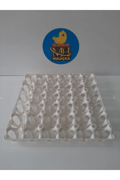 Plastik Yumurta Viyolü 30 Yumurta ( 2 Adet) - Resim 4