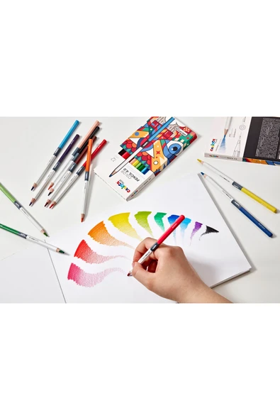 CARIOCA CARİOCA PLUS 4.0 KURU BOYA KALEMİ 24LÜ - Resim 3