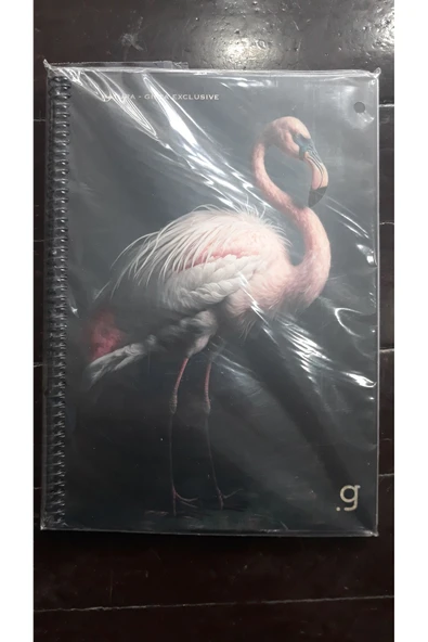 Gıpta GIPTA EXCLUSIVE DEFTER ürün görseli