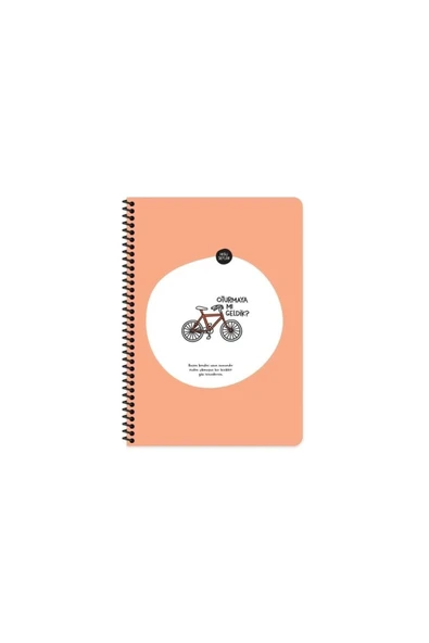 Hisli Şeyler Keskin A4 Kareli Spiralli Stickerli Defter Oturmaya Mı Geldik? 80yp ürün görseli