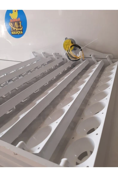 63'lük Otomatik Kuluçka Viyolü - Resim 4