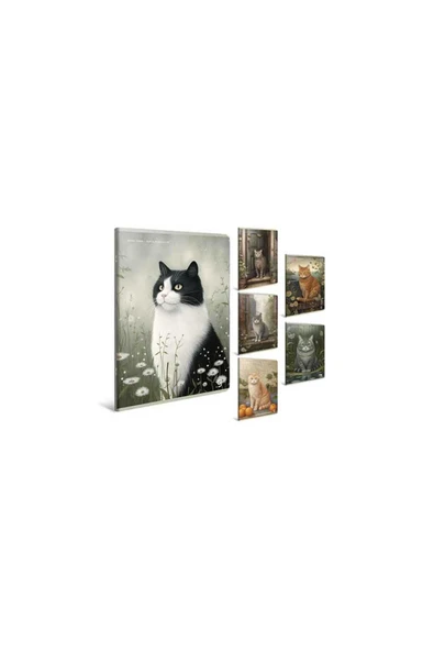 Gıpta A4 60 Yaprak Çizgili Echo Book Dikişli Karton Kapak Defter 7284000 ürün görseli