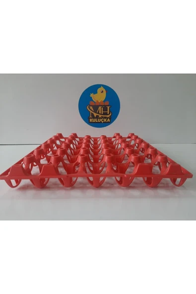 Plastik Yumurta Viyolü 30 Yumurta ( 2 Adet) - Resim 3