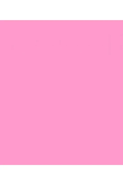 Alex 50x70 Pembe Fon Kartonu 100 Lü Alx-1310 ürün görseli