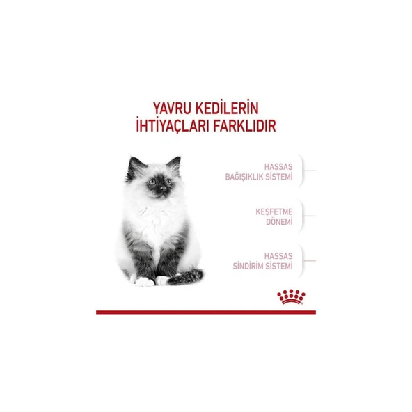 ROYAL CANİN Kitten Yavru Kediler Için Kuru Kedi Maması 400g - Resim 10